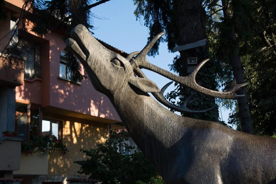 Гостевой дом Guest House Elena Велинград